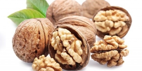 Pregrada od oraha: korist i šteta